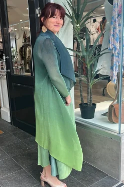 Alquema Maxi - FTO - AQ1 Discount