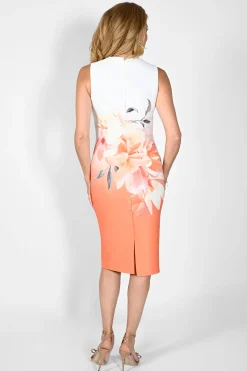 Frank Lyman August Dress & Jacket Set Discount