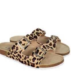 Human Lynx Slide | Leopard | HS6