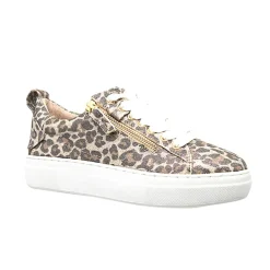 Alfie & Evie Maize Sneaker - Champagne Leopard - AE18
